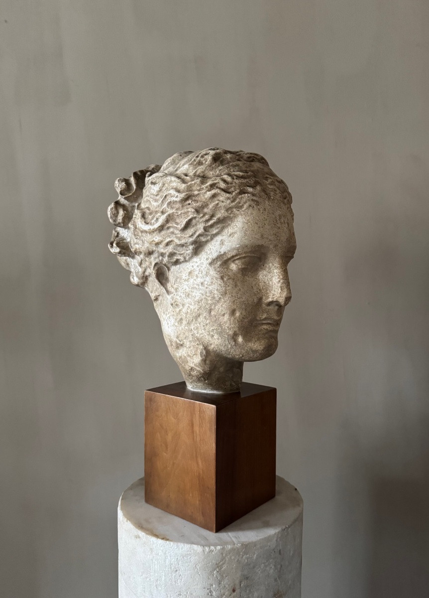 Academic Study In Plaster Of Hygieia-photo-4