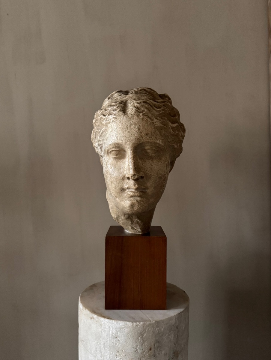 Academic Study In Plaster Of Hygieia