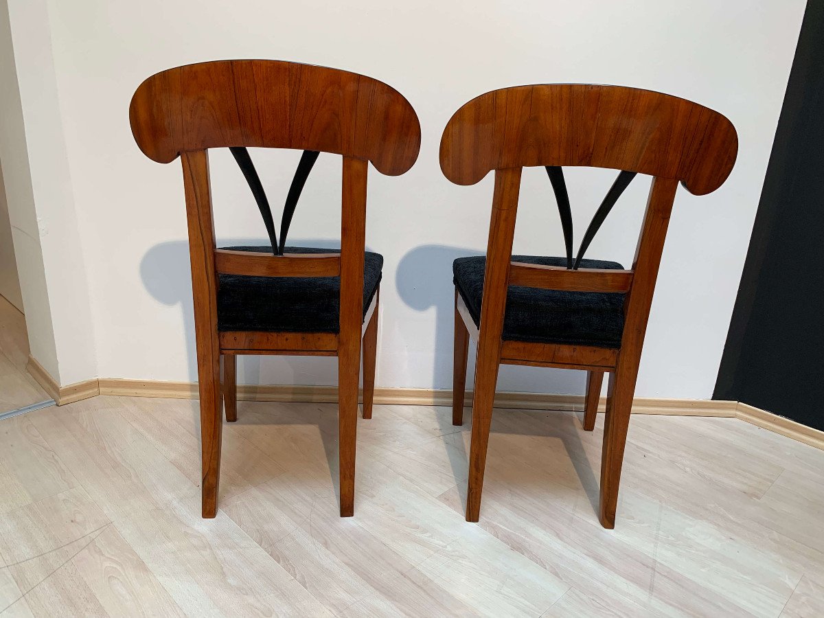 Exceptional Pair Of Biedermeier Shovel Chairs, Walnut, Maple With Ink, South Germany Circa 1830-photo-7