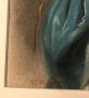 1820684-6aa5649e937a6.jpg