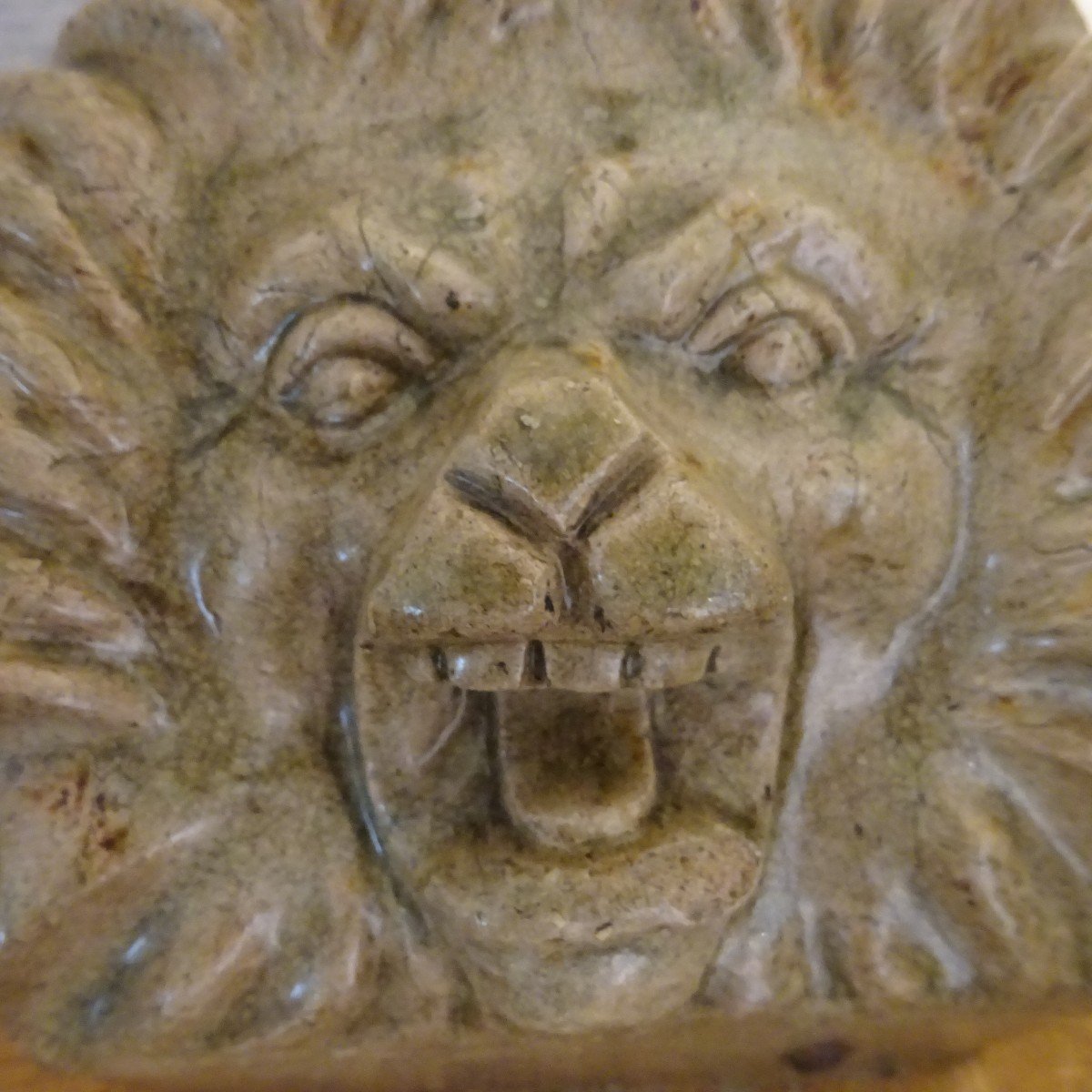 Lion Et cache boulin-photo-2