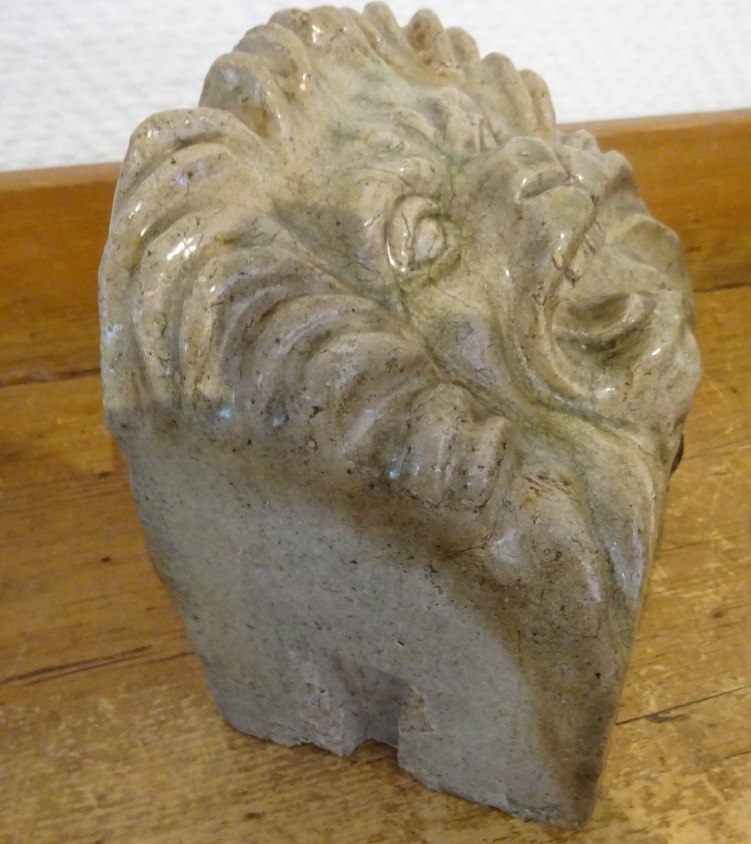 Lion Et cache boulin-photo-2