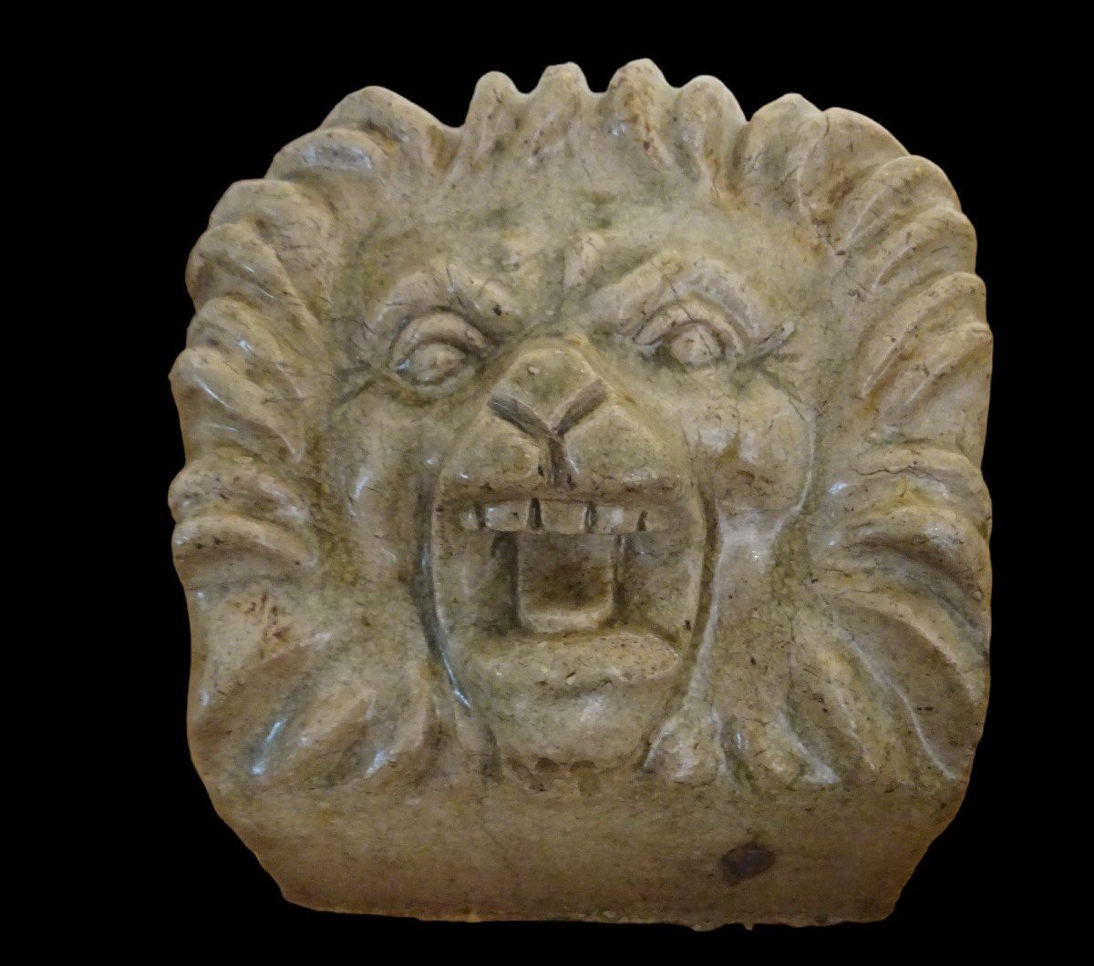 Lion Et cache boulin