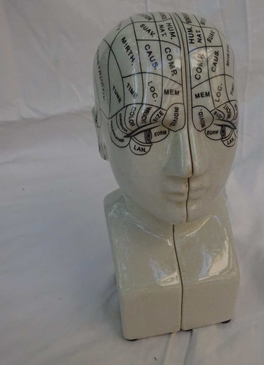 Phrenology Head Bookend....