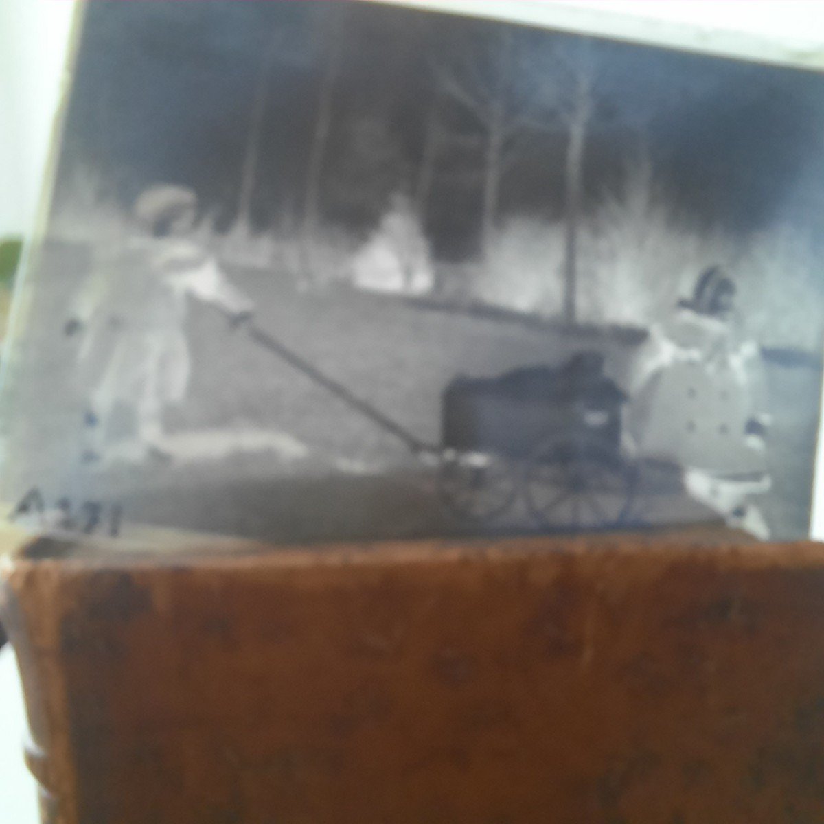 Photographic Plates From 1900-photo-1