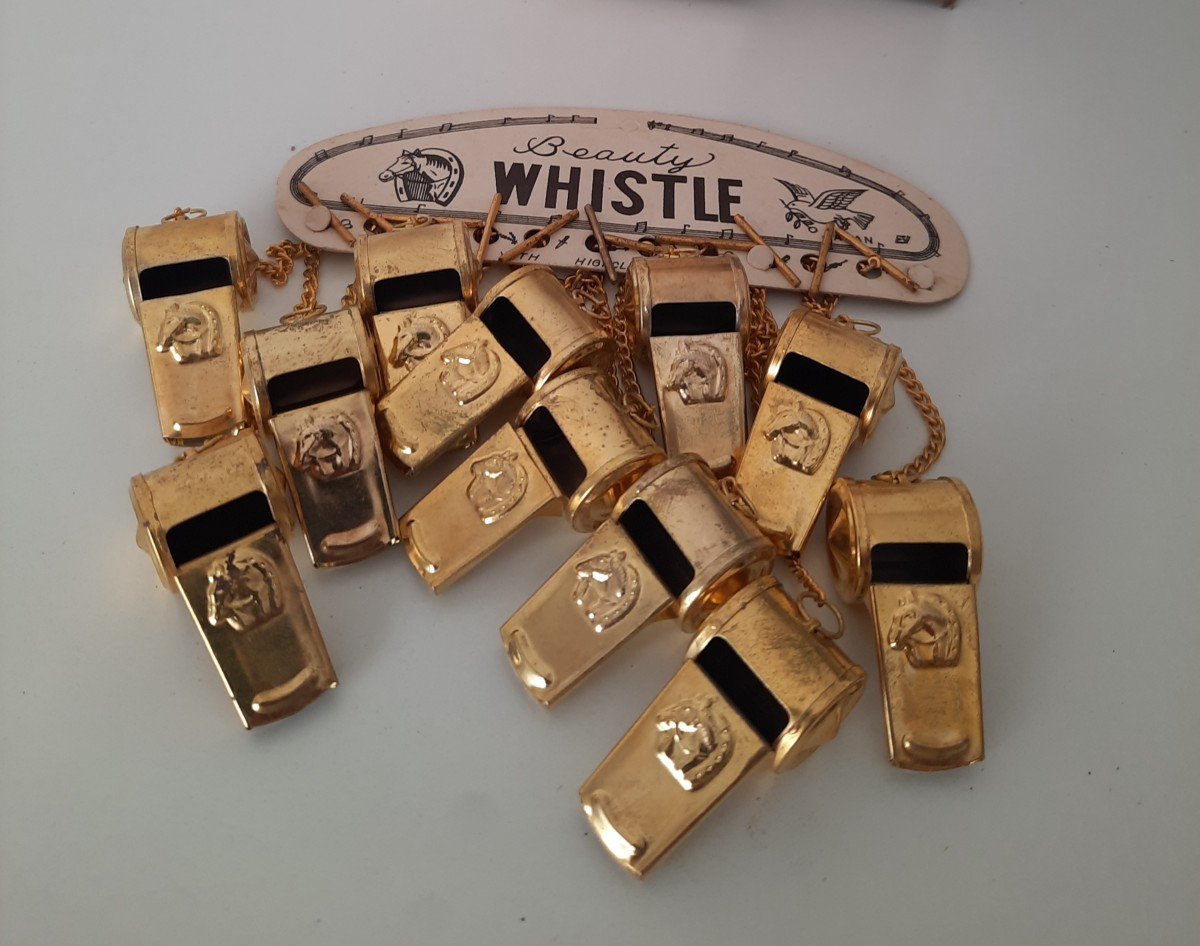 Symphony Of Whistles-photo-2