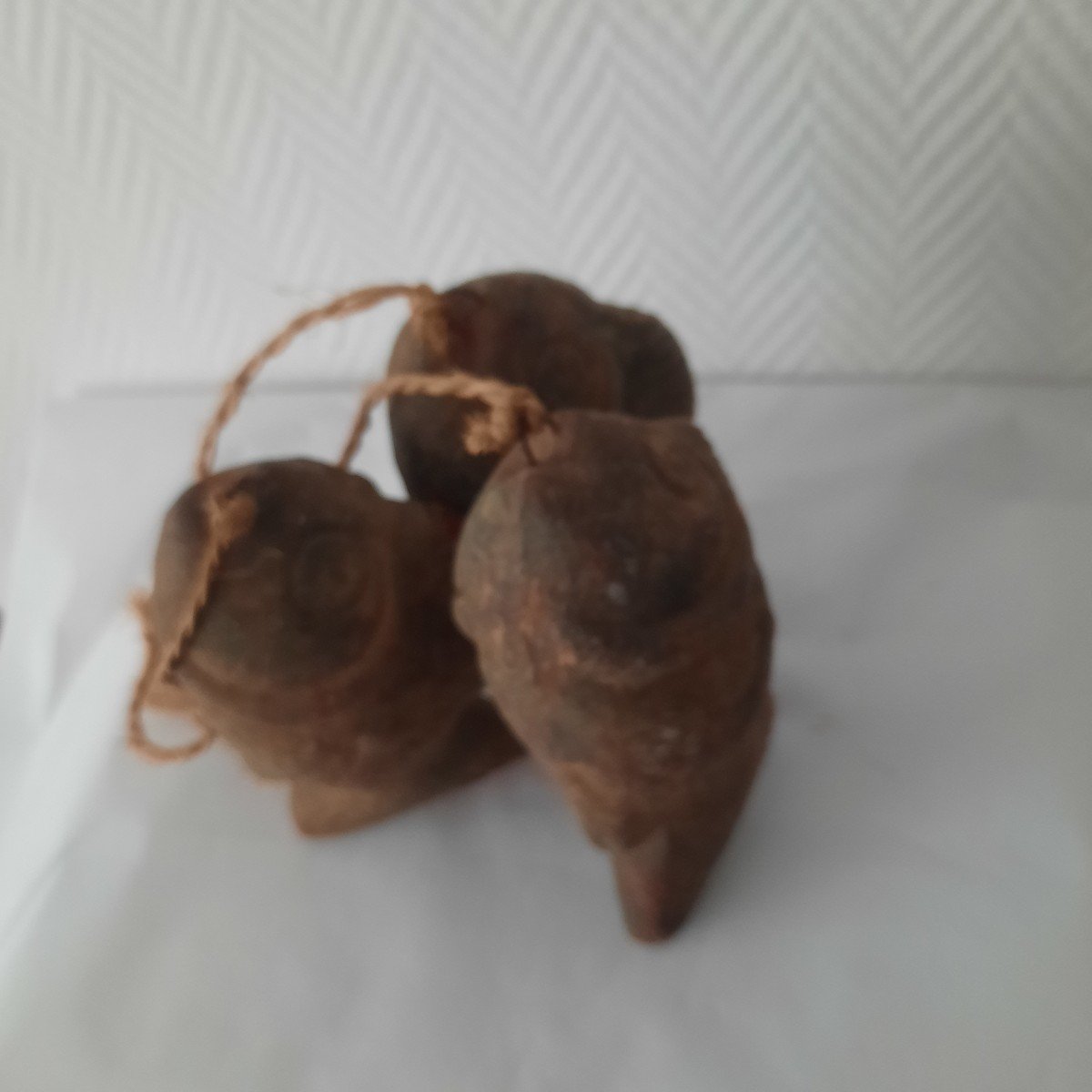 Et De Trois Ou Conjuration De Poissons-photo-2