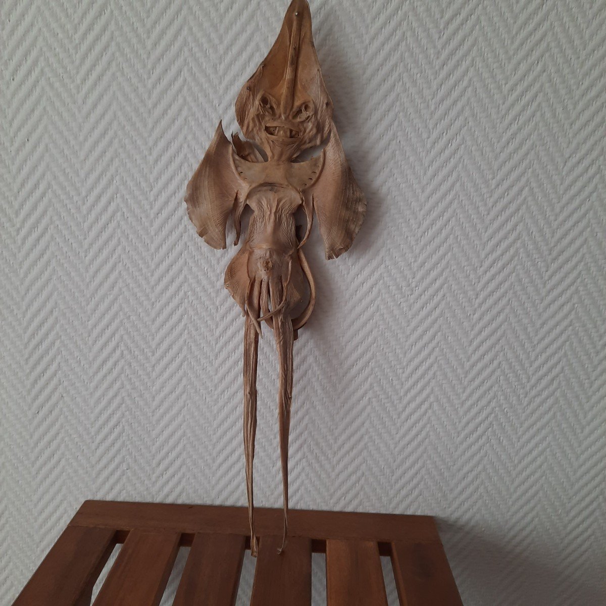 Raie Monstre Des Mers  Jenny Hanniver -photo-6