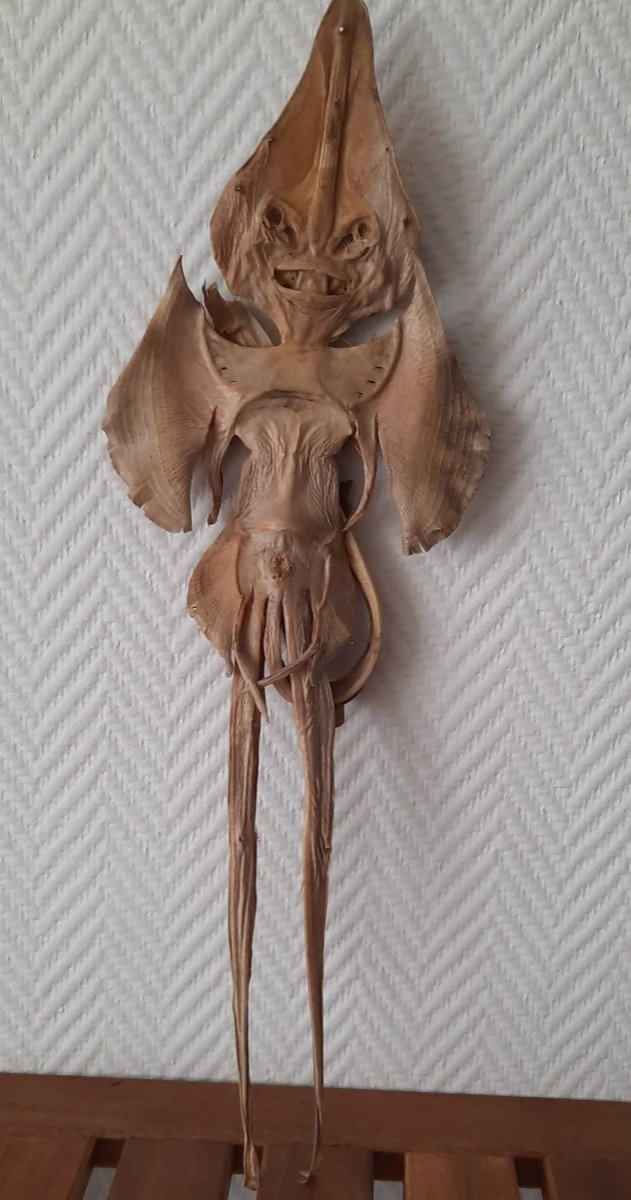 Raie Monstre Des Mers  Jenny Hanniver 