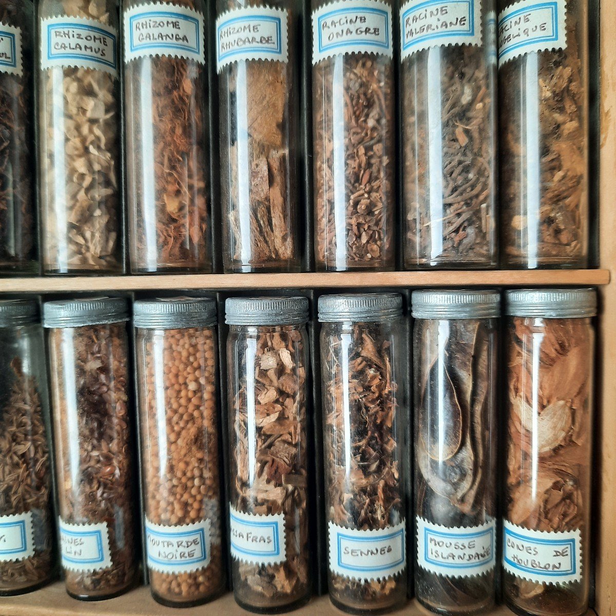 Herbal Vials For Budding Herbalists Early 20th Century-photo-6