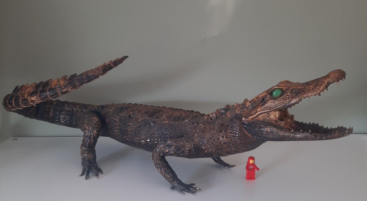 Very Elegant Stuffed Crocodile-photo-4