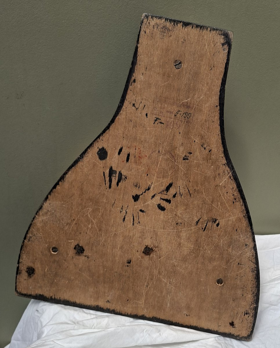 Des poumons et une trachée du XIXe siècle…-photo-5