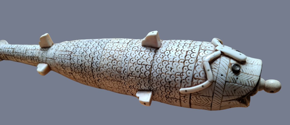 Gurajat Moghal Powder Pear Fish-photo-2
