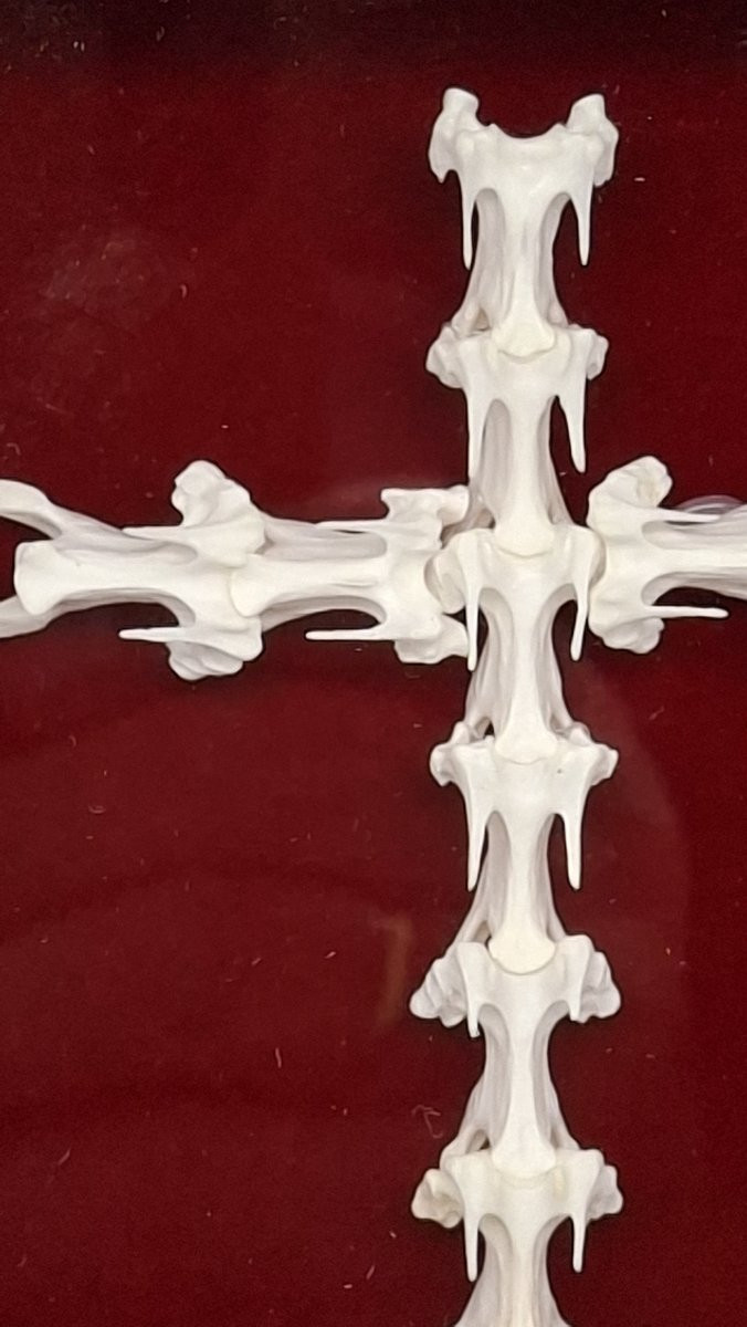 croix bien revancharde   en vertèbres -photo-2