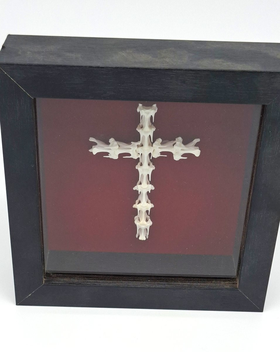 croix bien revancharde   en vertèbres -photo-3