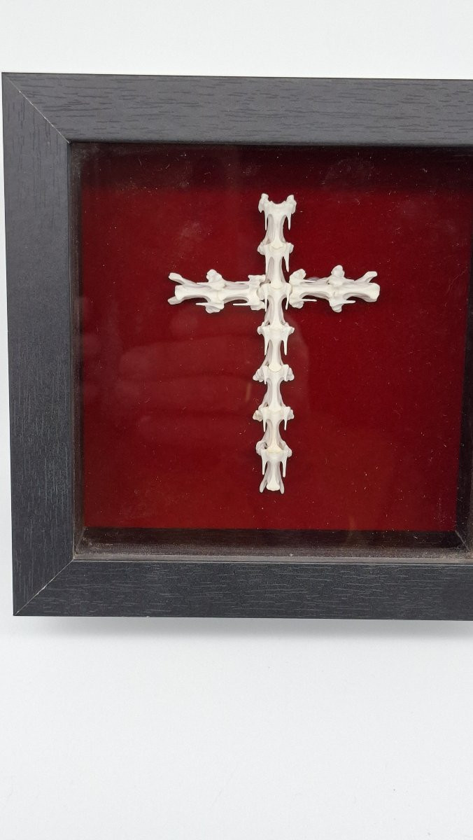 croix bien revancharde   en vertèbres -photo-4