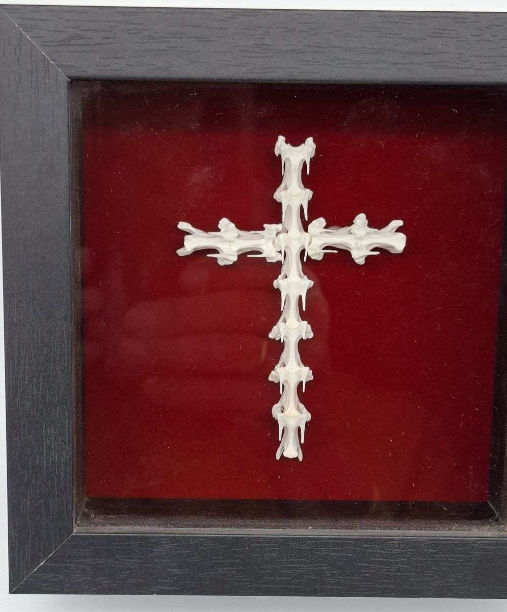 croix bien revancharde   en vertèbres 