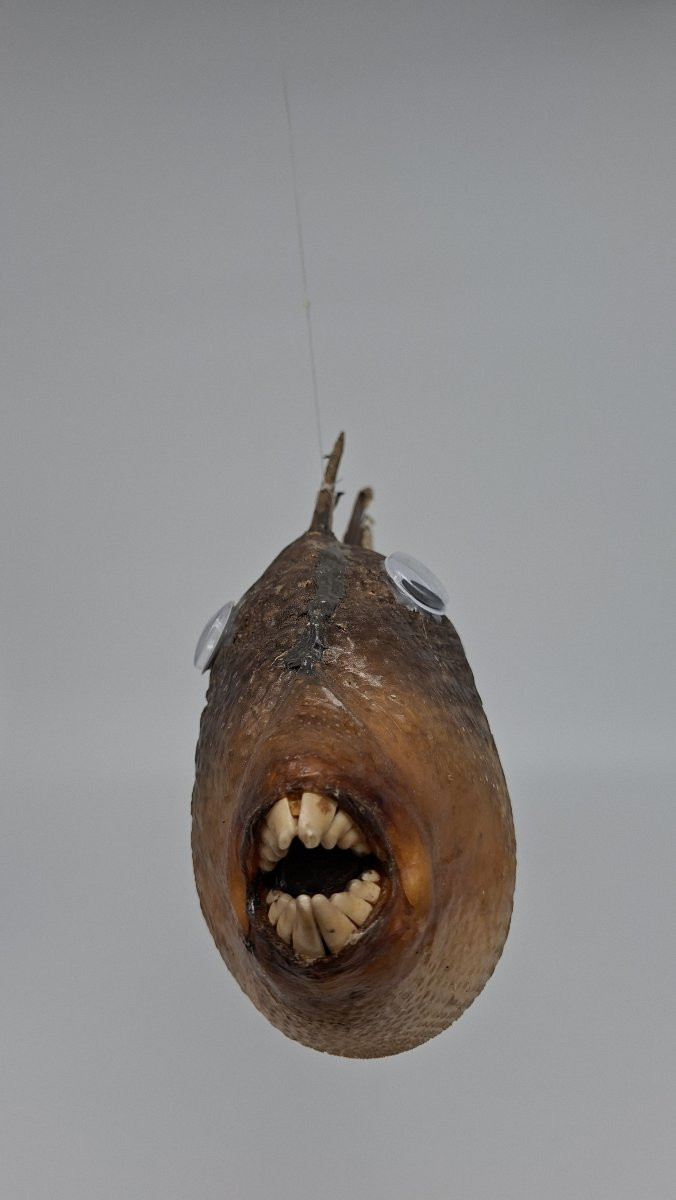 Large Hanging Ballista-photo-2