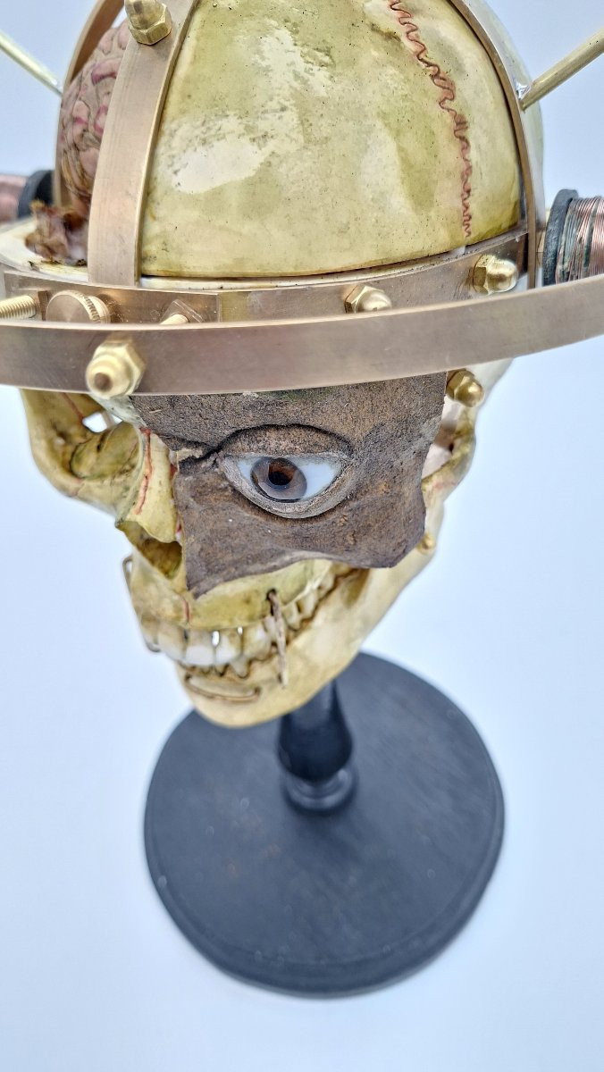 CRANIOMETRE DE BONNE ANNEE-photo-6