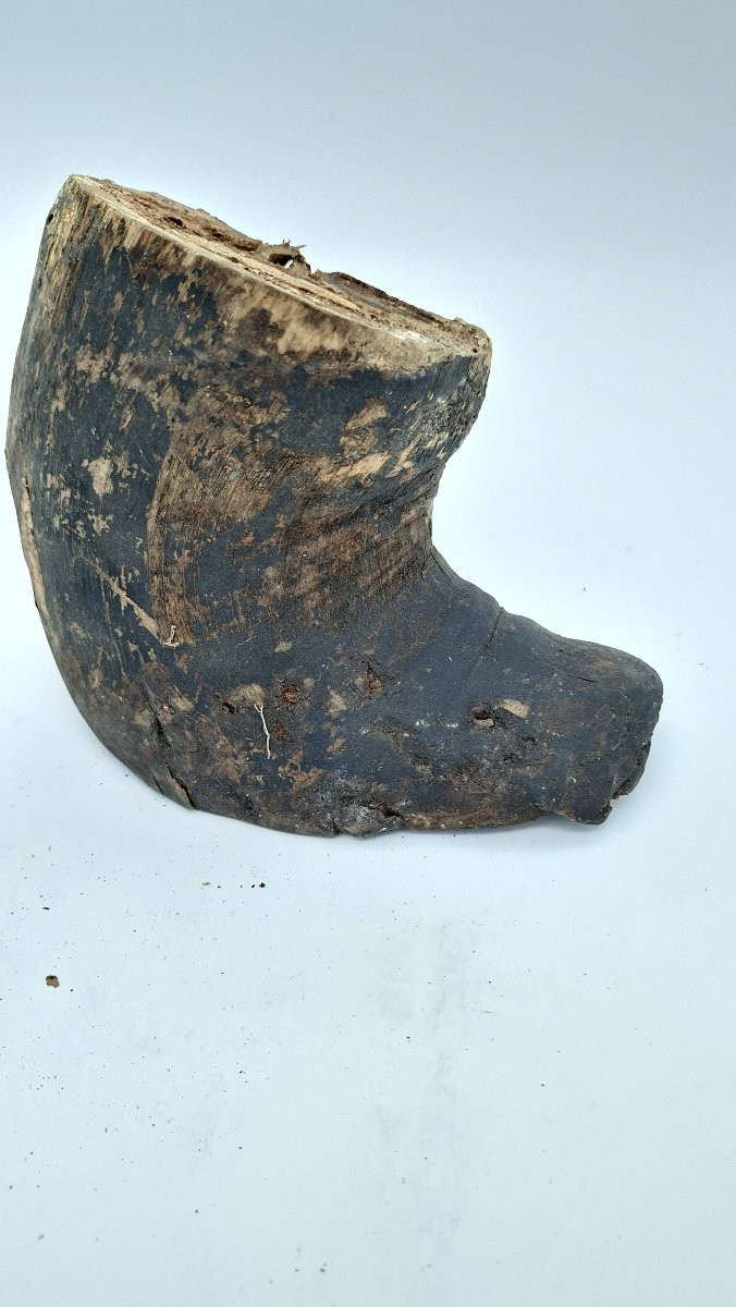 Mummified Horse's Hoof For Vet-photo-2