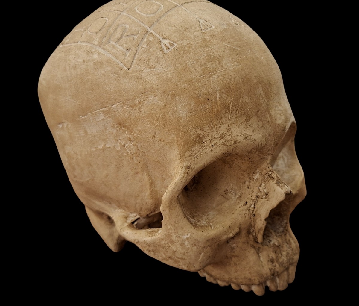 Sator Museum Skull 