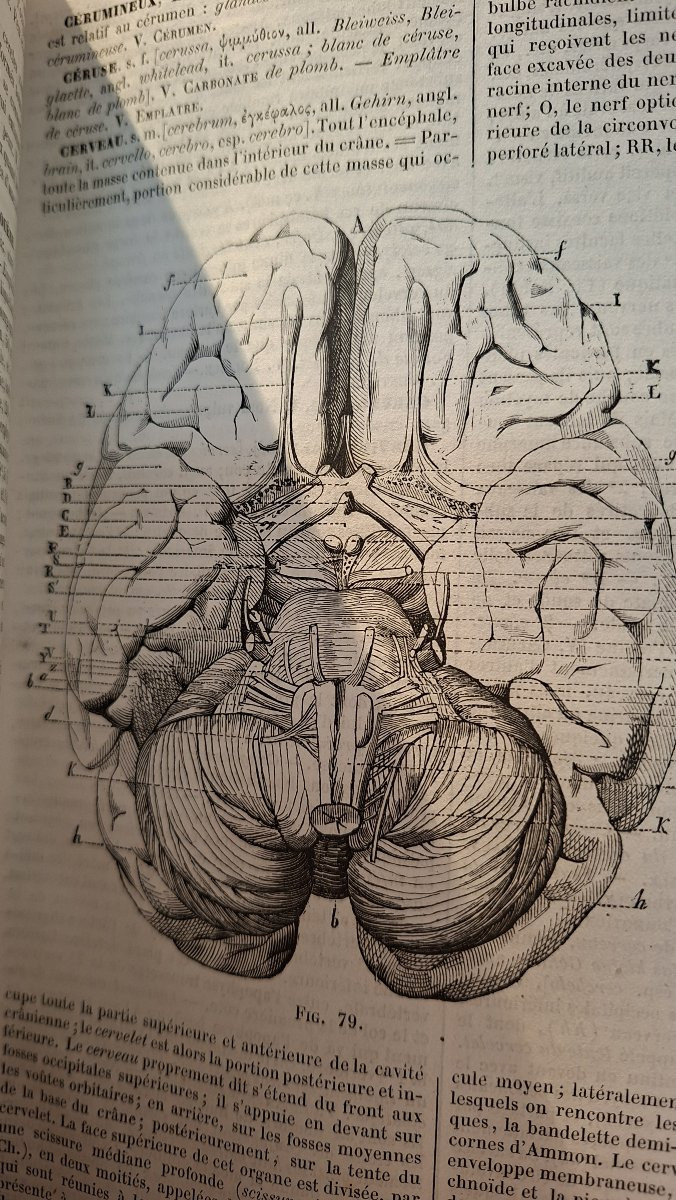 DICTIONNAIRE DE MEDECINE  ET PHARMACIE LITTRE 1873-photo-2