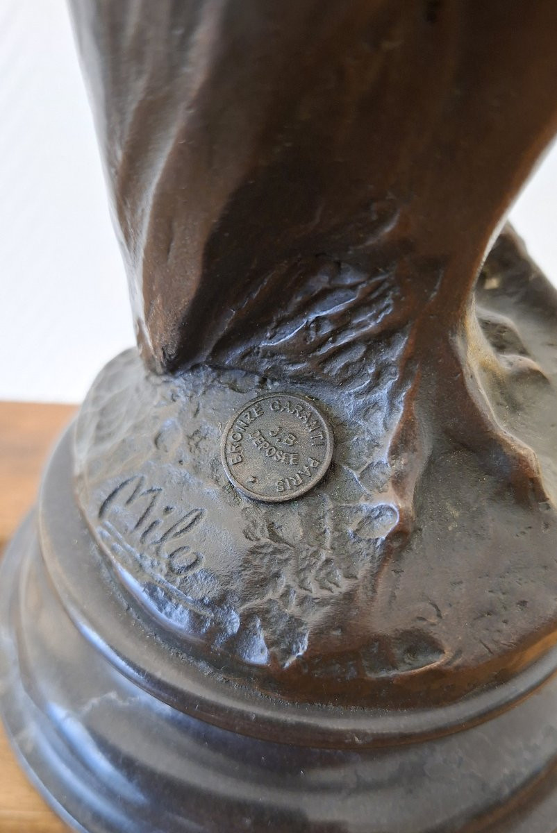 bronze animalier la chouette  Salvatore Milo-photo-4