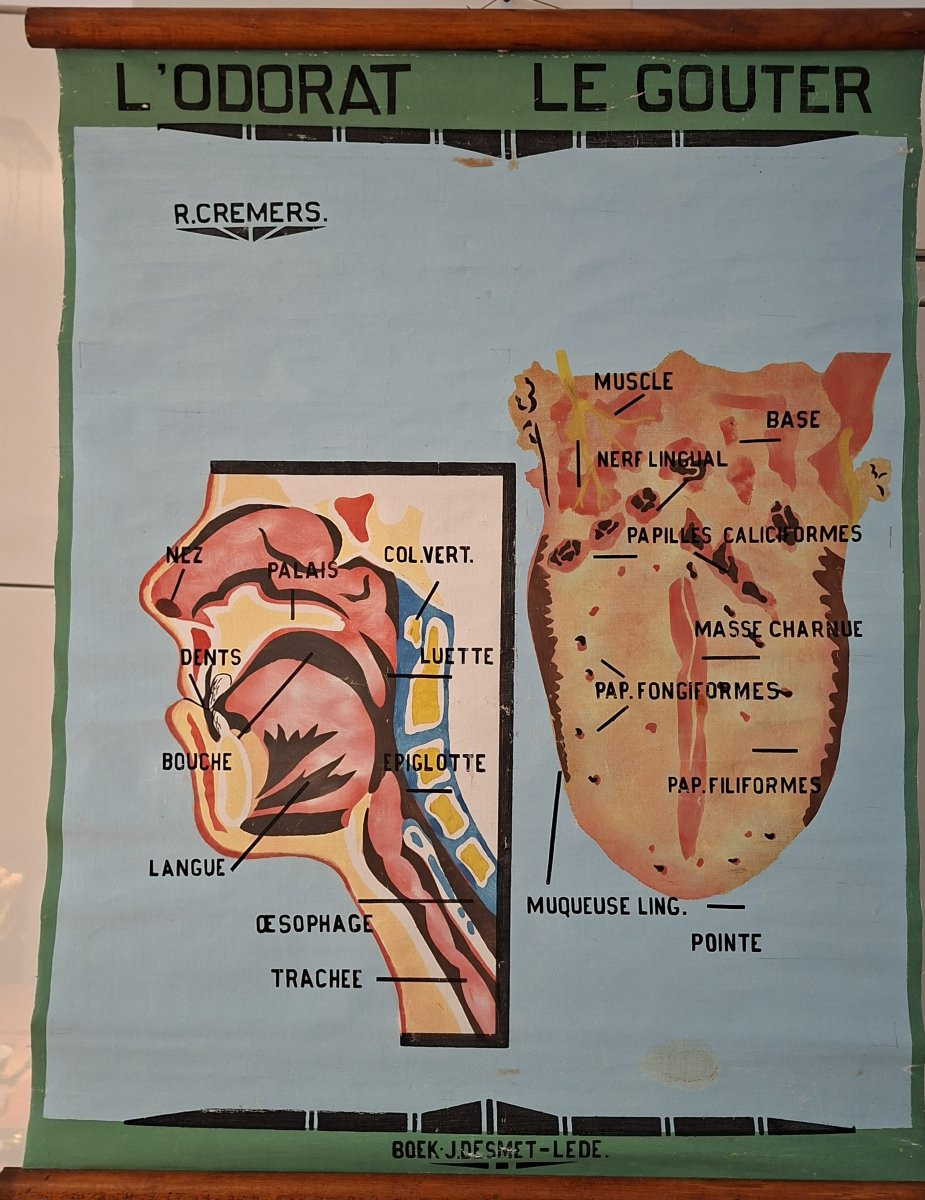 The Painter Roger Cremers Is Featured.-photo-3