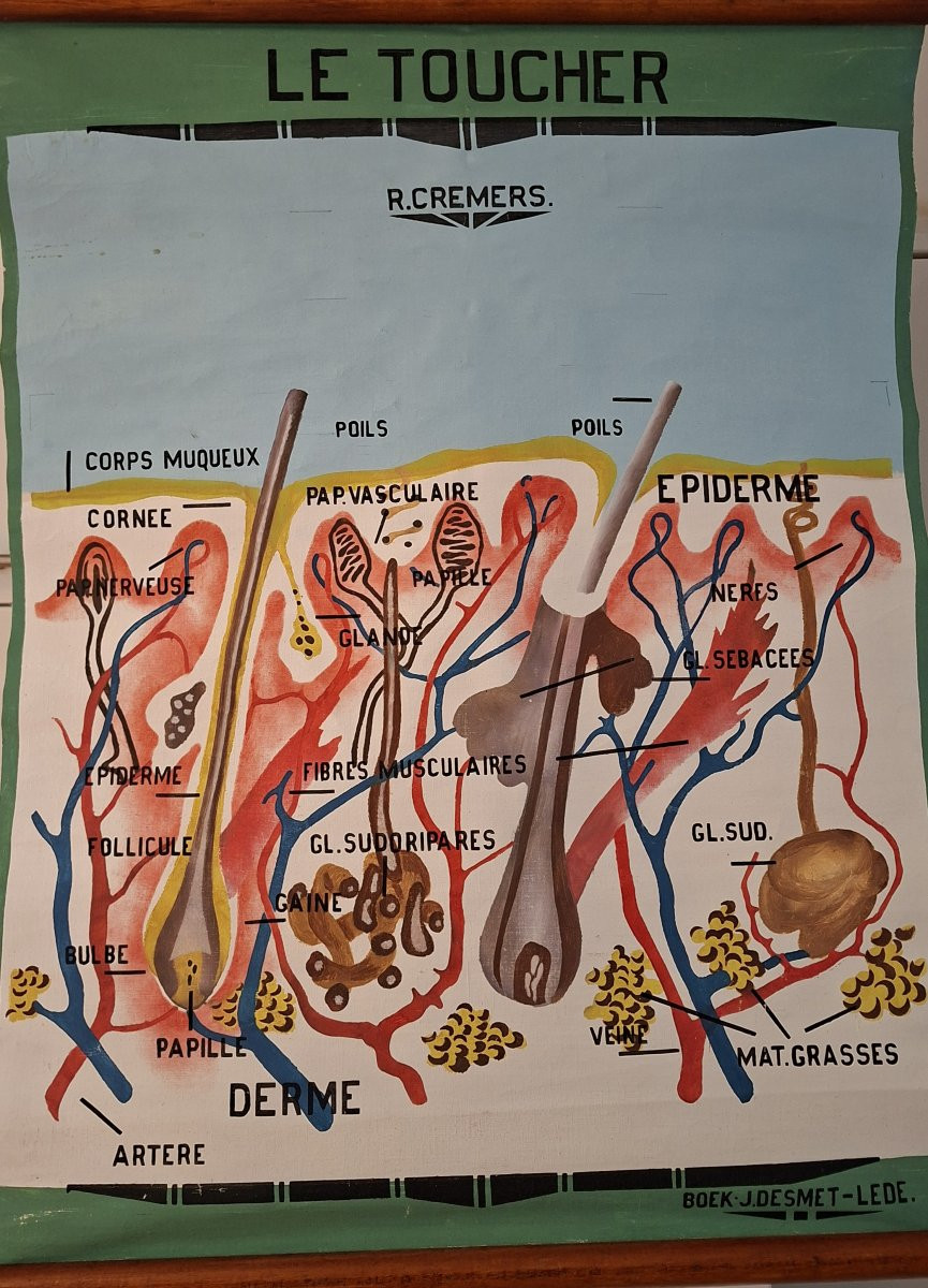 The Painter Roger Cremers Is Featured.-photo-4