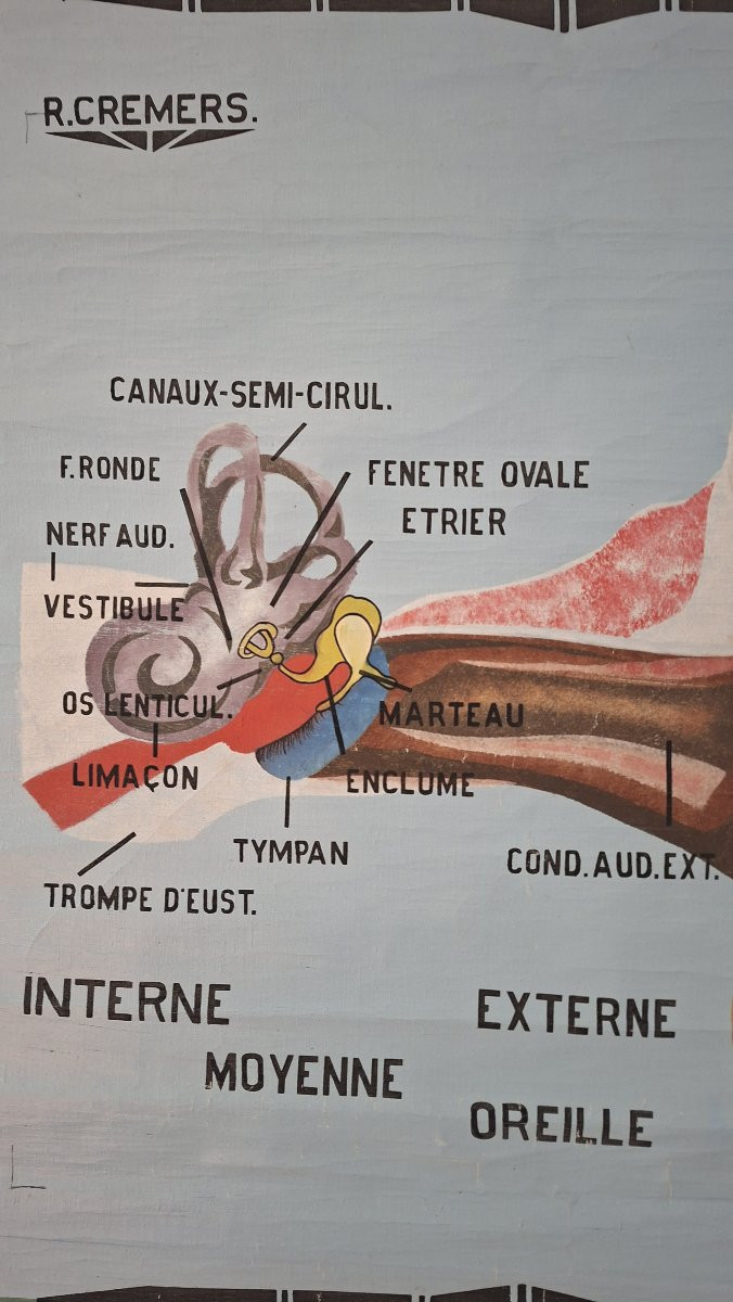 The Painter Roger Cremers Is Featured.-photo-2