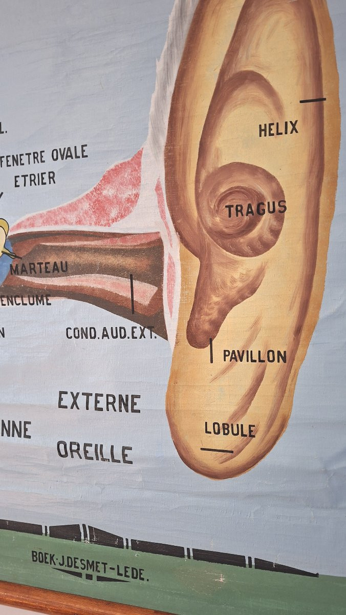 The Painter Roger Cremers Is Featured.-photo-3