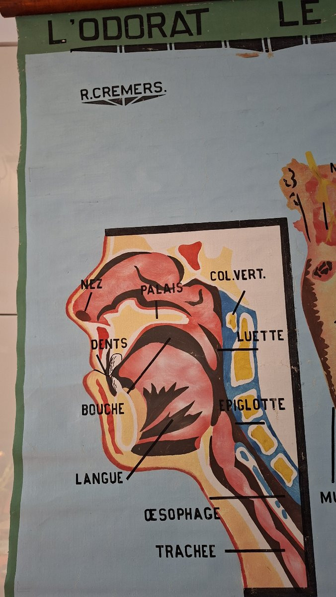 The Painter Roger Cremers Is Featured.-photo-5