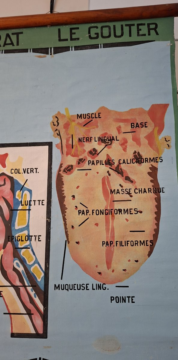 The Painter Roger Cremers Is Featured.-photo-6