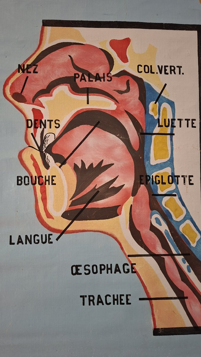 The Painter Roger Cremers Is Featured.-photo-7