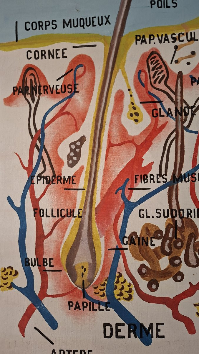 The Painter Roger Cremers Is Featured.-photo-8