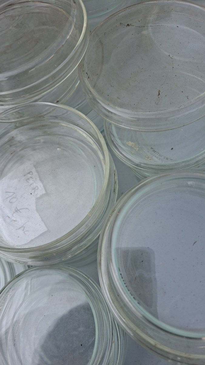 du labo en cuisine-photo-4