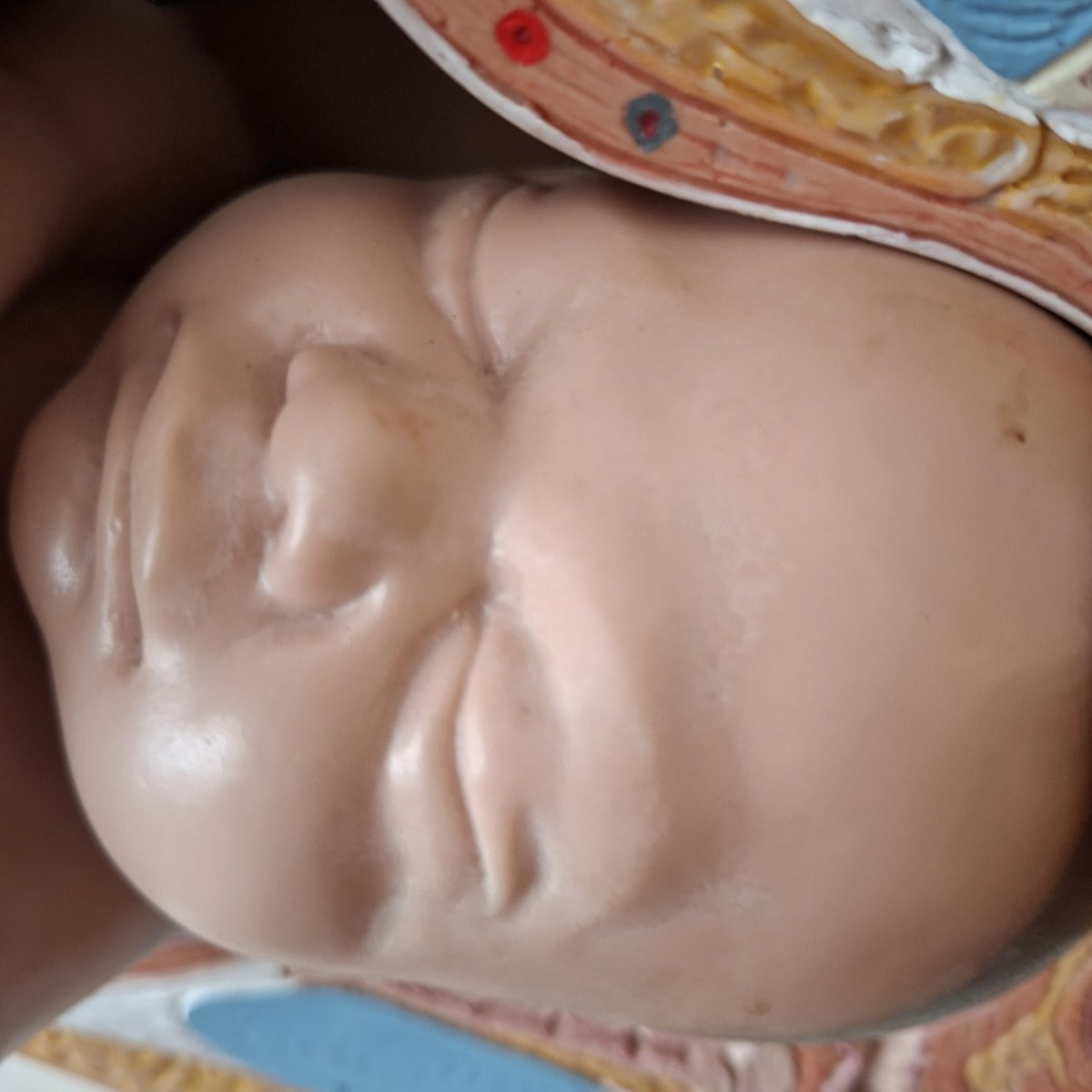 3d Obstetrical Baby-photo-4