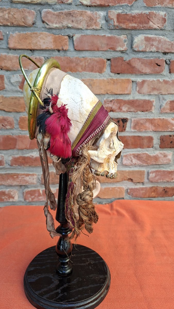 Skull Of A Paracas Dignitary-photo-3