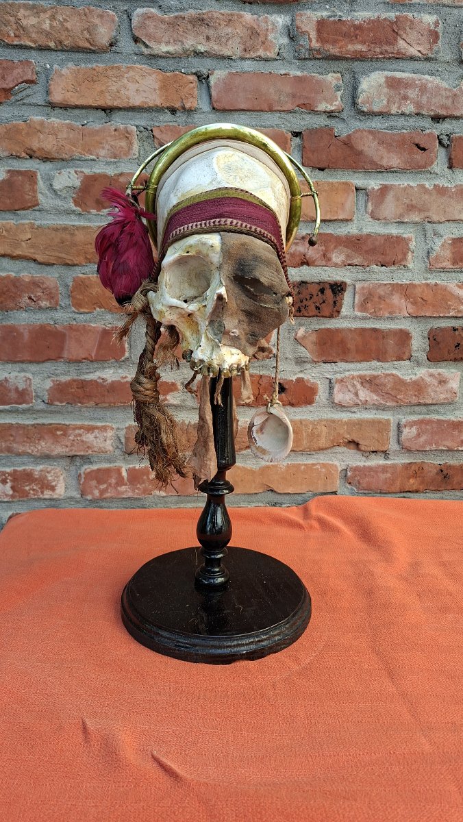 Skull Of A Paracas Dignitary