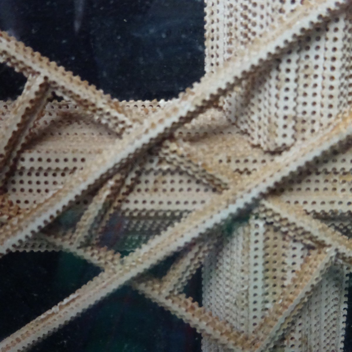 Single Piece Lace, Arma Christi And Paperolles-photo-4