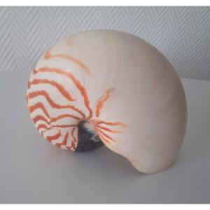 A Nautilus For Real