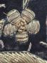 1584102-alb-6873aacdbfda5.jpg