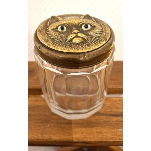 Cat Box For The Cat...