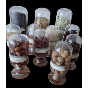 Collection Of Monsters And Seeds