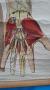 1748940-alb-69ecc5fda71ea.jpg