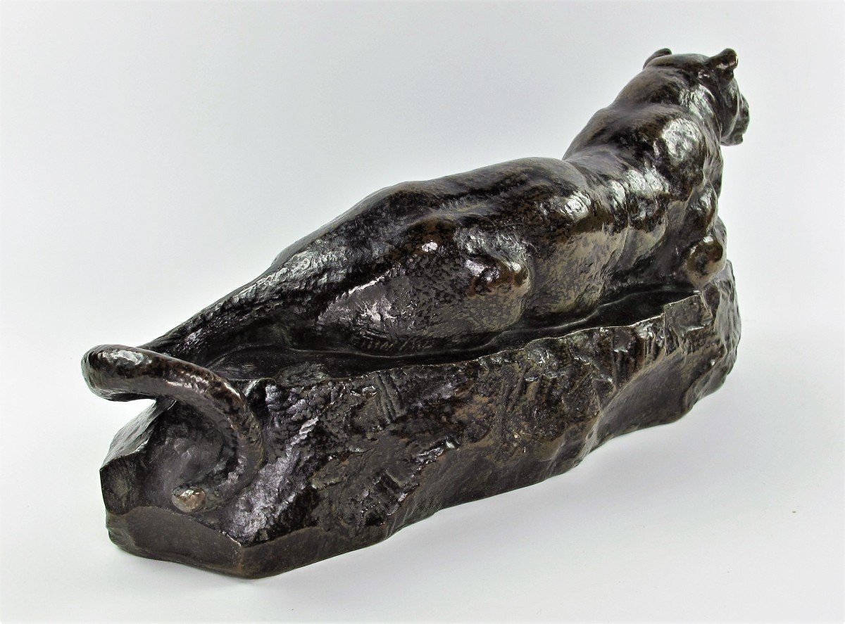 Bronze By Antoine-louis Barye (1795-1875)  Panthère De Tunis N°1-photo-4