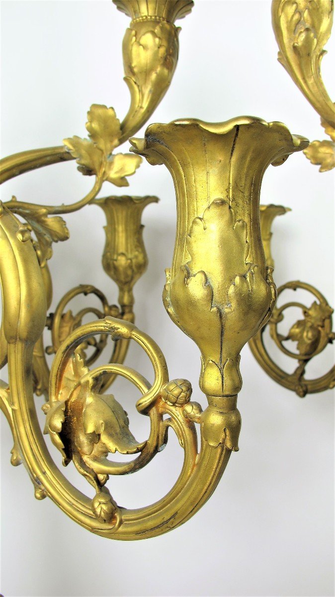 Très Grande Paire De Candélabres En Bronze Doré De Style Louis XV Par Robert Frères À Paris -photo-3