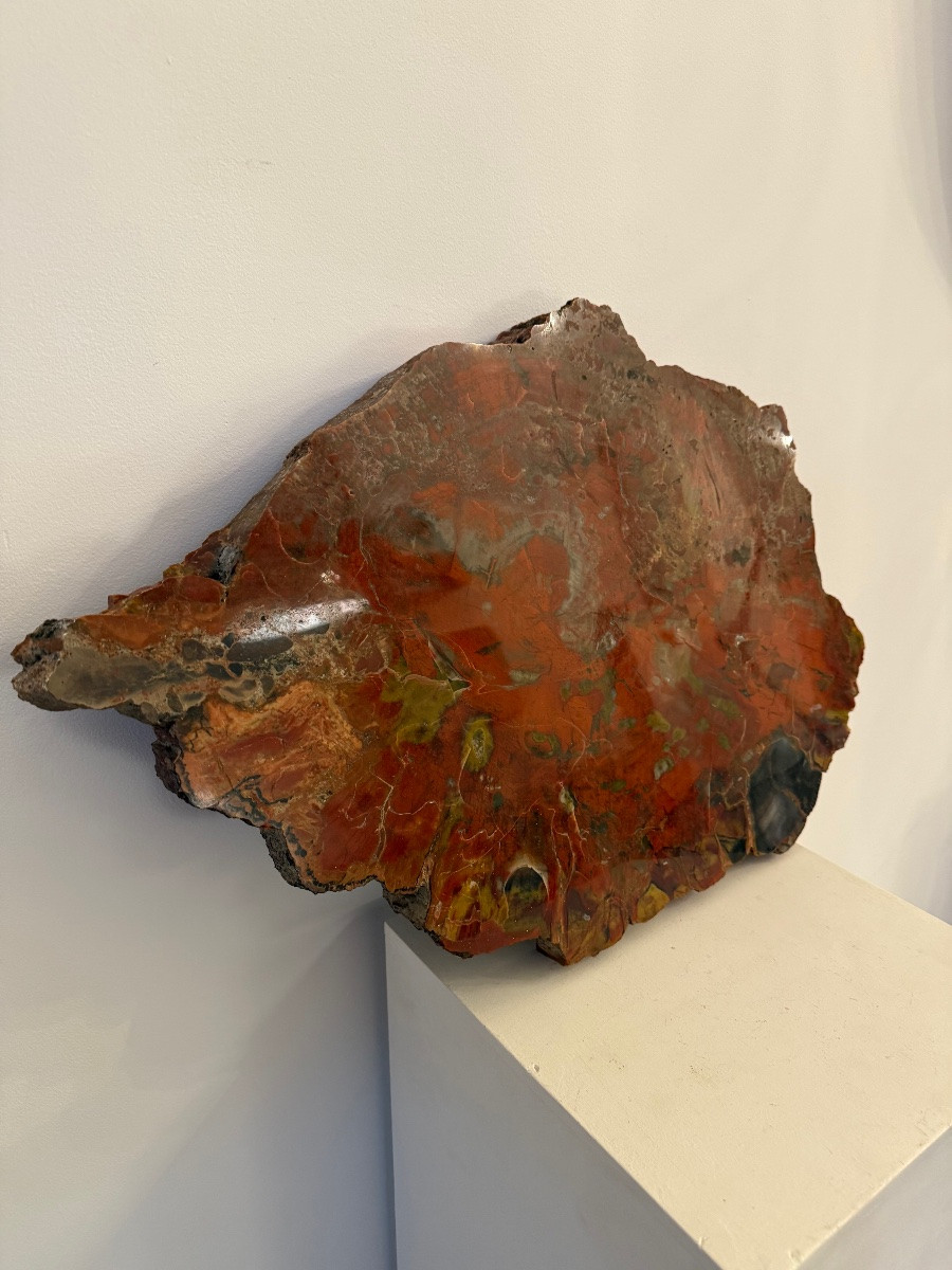 Fossilized Wood, Petrified Wood.-photo-3