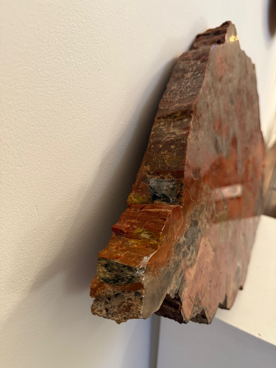 Fossilized Wood, Petrified Wood.-photo-4