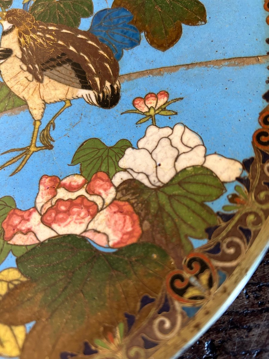 Meiji Japan Cloisonne Dish -photo-6